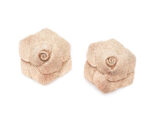 Accesorii pantofi ALDO aurii, ROSETTES 741, din metal
